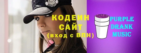 индика Покачи