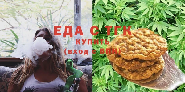 индика Покачи